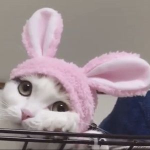 Meet your Posher, Katelyn